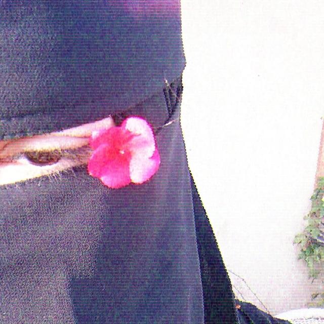 نُـسَـيـبـةٌ خـالـد 🎀)↺. لطف، كتابات، روايات، قهوة، ورد، خواطر، بوستات، توليب، اناشيد .
