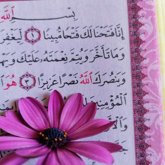 تلاوه القران الكريم🥹🫀 معلومات دينيه قران احاديث اذكار نكت حكم صور غزه اخبار فلسطين اليمن حب الله..!