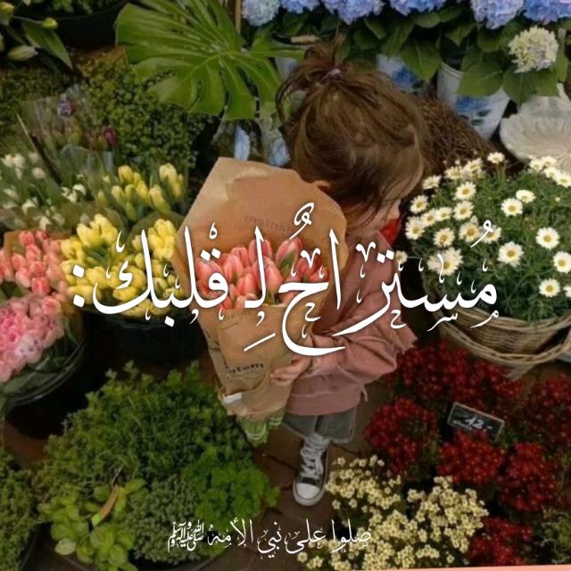 -مُستراحٌ لِـ قلبكِ🥹🌷:
قرآن اذكار احاديث تحفيز ادعية احكام صور فيديوهات Islam حب بيسات نكت .