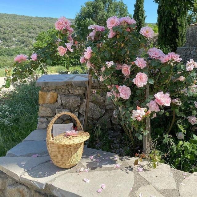 أَثَرٌ جَمِيلٌ قَبْلَ الرَحِيل🌸:[بوستات دينية قرآن صور دينية اذكار تحديات إسلامية .Islam.Quran]