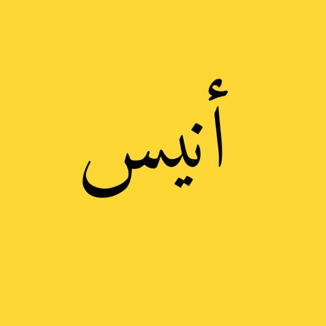 أنيس 🙂