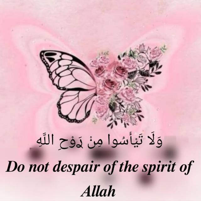 وَلَا تَيْأَسُوا مِنْ ࢪَوْحِ اللَّهِ💗🦋.أقتباسات، صور، فيديوهات، بينات، عبارات، دين، قرآن، Qur'an♡