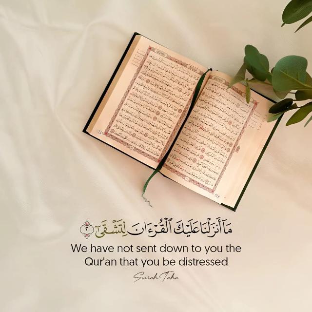 كل يوم آية - تدبر القرآن الكريم لِّيَدَّبَّرُوٓاْ ءايٰته حالات ستوري منبه خواطر سكن صور مقاطع ورد ♥🍁