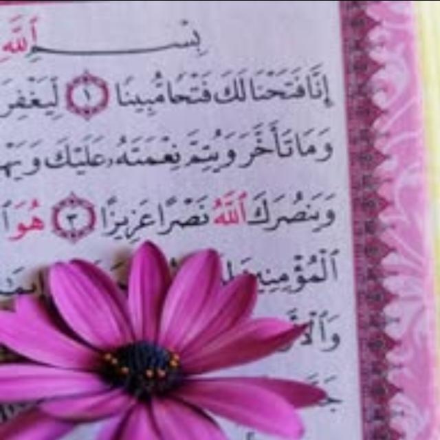 تلاوه القران الكريم 🥹🫀معلومات دينيه قران احاديث اذكار نكت حكم صور غزه اخبار فلسطين اليمن حب الله