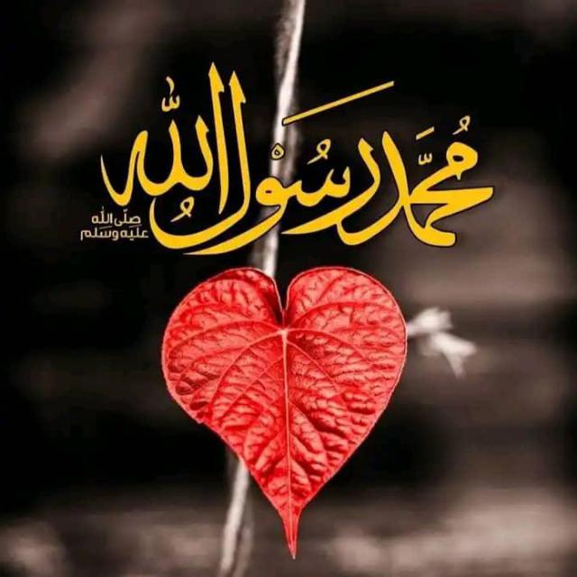 تاریخي حقایق | جالب معلومات | اسلامي| عاجل او دقیق خبرونه | قران | اسلامی لارښود |