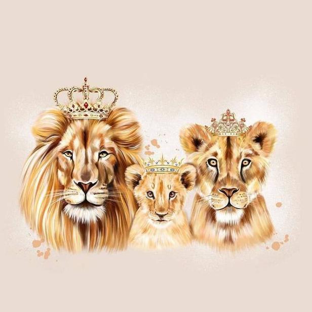 👑💎🌸𝐏𝐫𝐢𝐧𝐜𝐞𝐬𝐬𝐞𝐬🌸💎👑