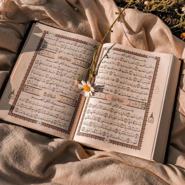 🎧 مقاطع قرآن كريم | Quran 🎧🤍🕊️ سماع فيديوهات قرآن تسجيلات قرآن استماع للقرآن تلاوة القرآن الكريم