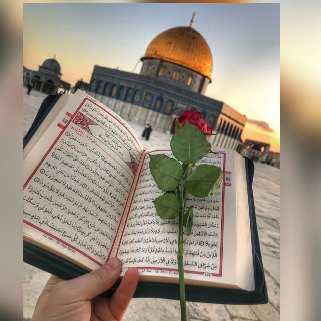 القرآن الكريم 🌷🤍𓏲