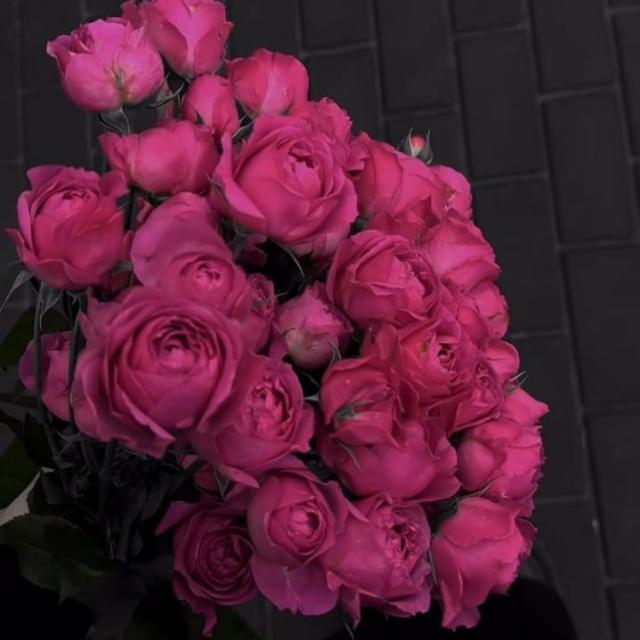 ضِمـاد 💗.