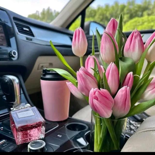 🤍🎀رفيقــات الفـــردوس🤍🎀